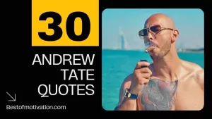 Andrew Tate Quotes