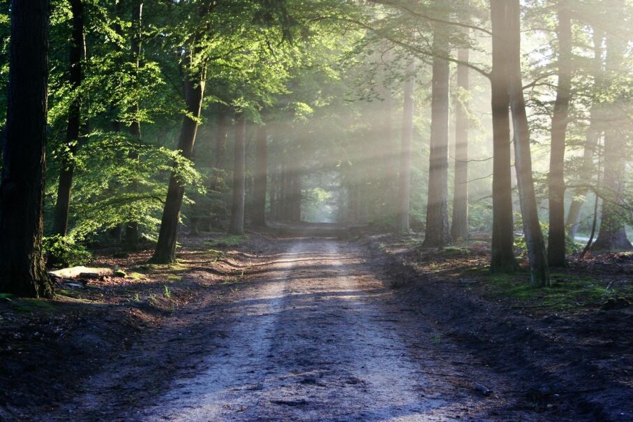 road sun rays path