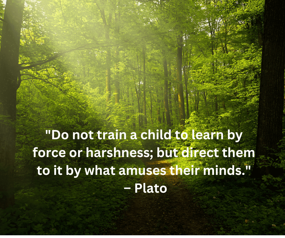 "Do not train a child to learn by force or harshness; but direct them to it by what amuses their minds."