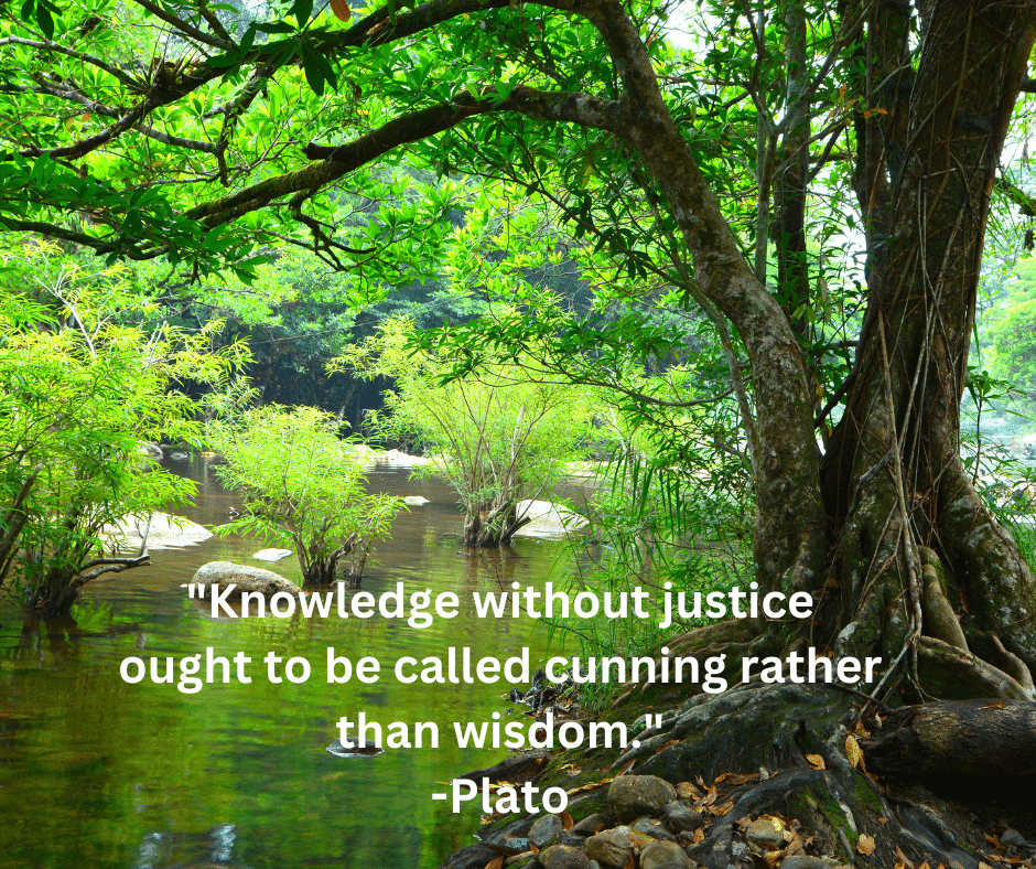 "Knowledge without justice ought to be called cunning rather than wisdom."